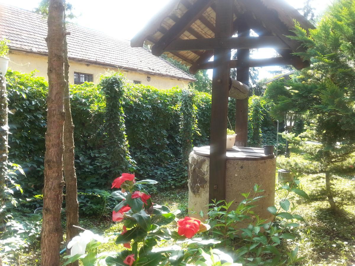 Felso Fogado Bed & Breakfast Felsőtold Екстериор снимка