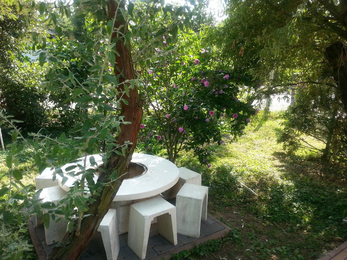Felso Fogado Bed & Breakfast Felsőtold Екстериор снимка