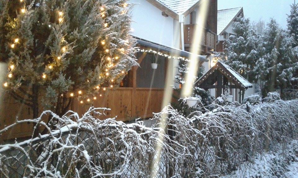 Felso Fogado Bed & Breakfast Felsőtold Екстериор снимка
